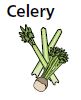 Celery