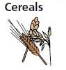 Cereals